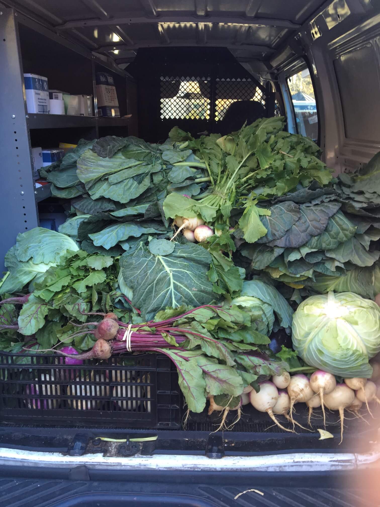 Greens for the Community Soup Kitchen of New Haven